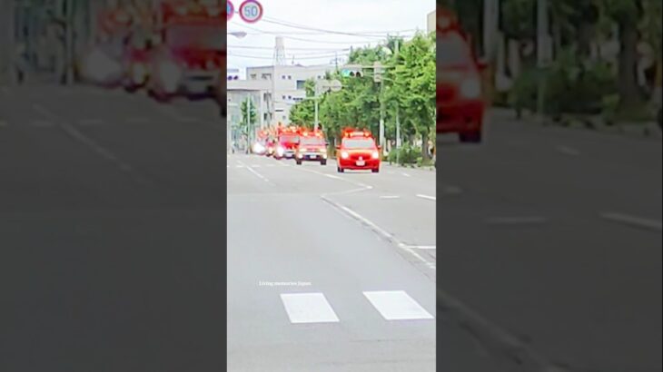 消防車が続々と｜サイレン全開、圧巻の消防車列