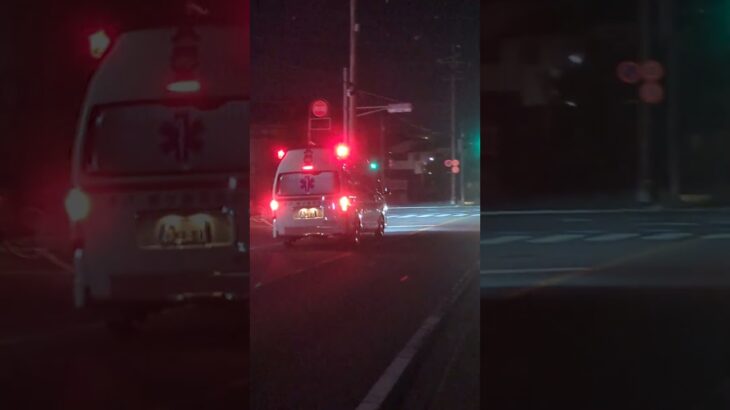 久しぶりの救急車緊急走行🚨 #救急車 #緊急車両 　#緊急走行 #緊急