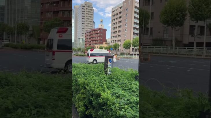 救急車緊急走行