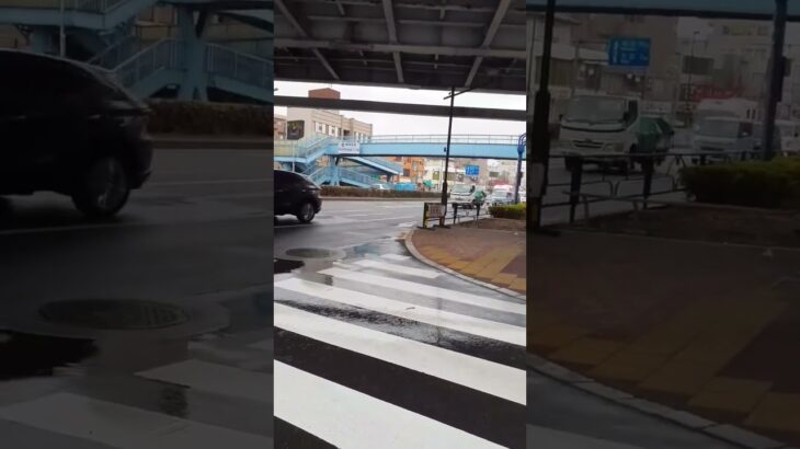 特殊救急車緊急走行