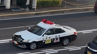パトカー　緊急走行