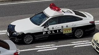 パトカー　緊急走行
