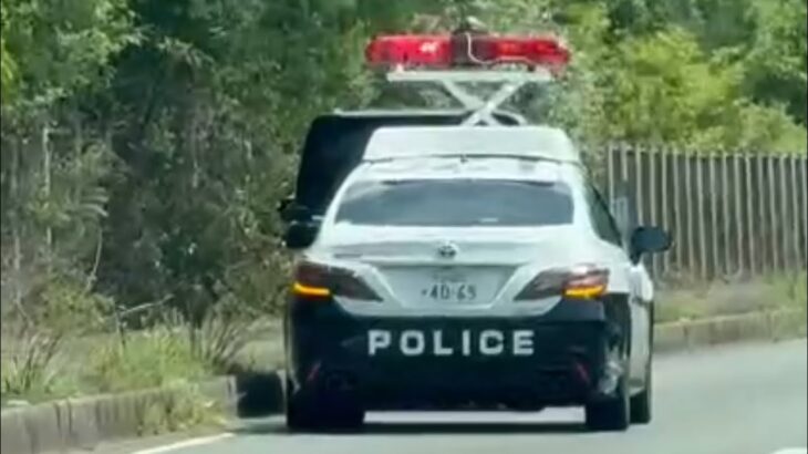 🚨🚨京都府警🚨🚨パトカーが違反車を捕獲🚨🚨 #パトカー #京都府警 #赤色灯 #違反車