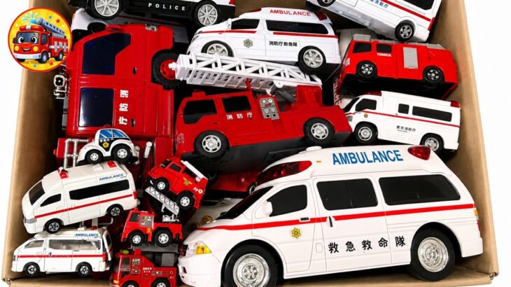 🚑🚒🚓 救急車・消防車・パトカーのミニカーを箱に何台入る？サイレン緊急出動＆坂道走行テスト☀️夏休み【子供向け】