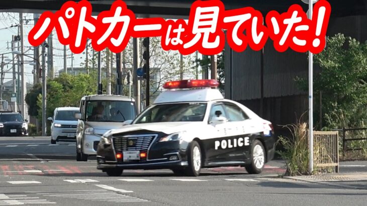 なぜかパトカーに呼ばれて止まったら違反してた…全く自覚の無い原付が捕まる瞬間！【パトカーによる一時停止取り締まり】
