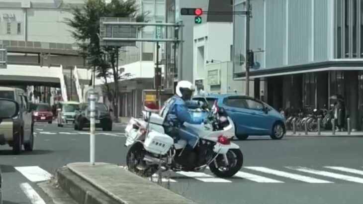 【白バイ】 🚨信号無視を見張る白バイが格好いい🚨 #白バイ #白バイ隊員 #兵庫県警