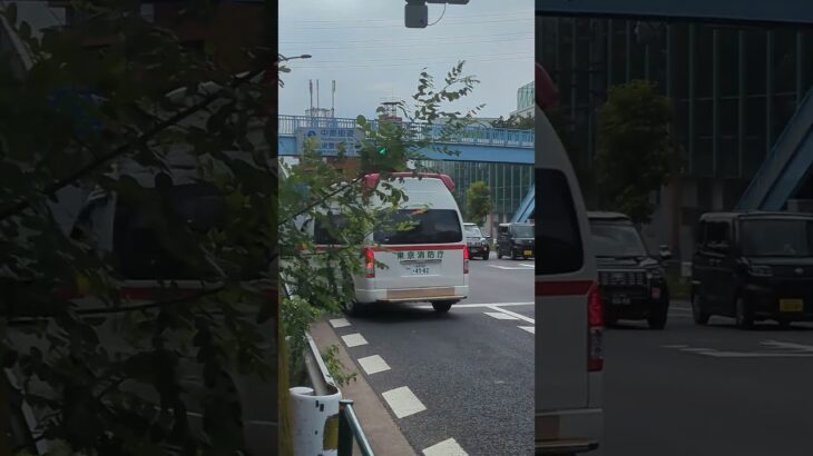 救急車緊急走行！ #救急車 #緊急走行
