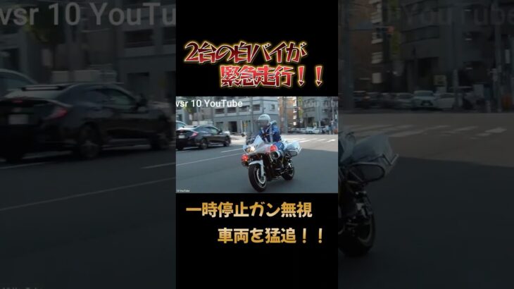 新旧白バイが緊急走行！！一時停止ガン無視車両を検挙！！