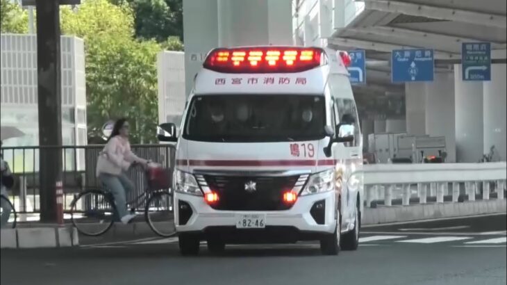 🚨交差点を緊急走行🚨救急車🚨響き渡るサイレン🚨赤色灯🚨 #救急車 #緊急走行 #西宮市消防局