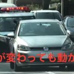 😳😳信号が変わっても動かない車の後ろにパトカー😳😳驚きの結末😳😳 #パトカー #赤色灯 #兵庫県警 #不動車 #不審車 #故障車