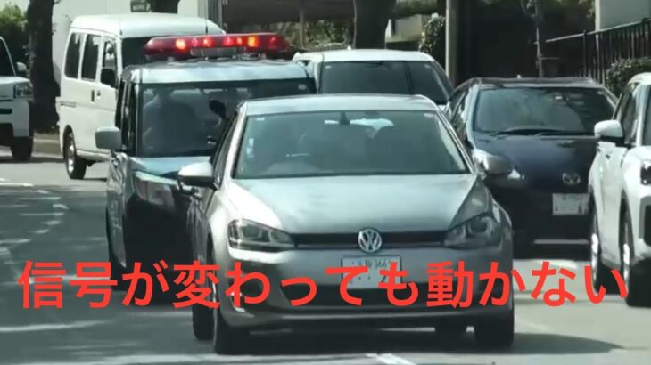 😳😳信号が変わっても動かない車の後ろにパトカー😳😳驚きの結末😳😳 #パトカー #赤色灯 #兵庫県警 #不動車 #不審車 #故障車