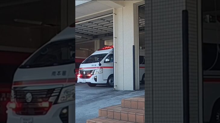 【救急出場】新型パラメ出場!鹿児島市消防局南本署救急隊