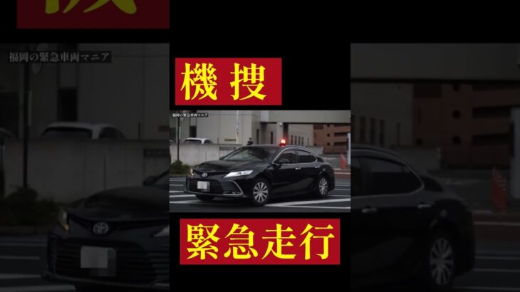 【緊急走行】福岡県警察 北九州市警察部 機動捜査班 カムリ覆面パトカー 緊急走行