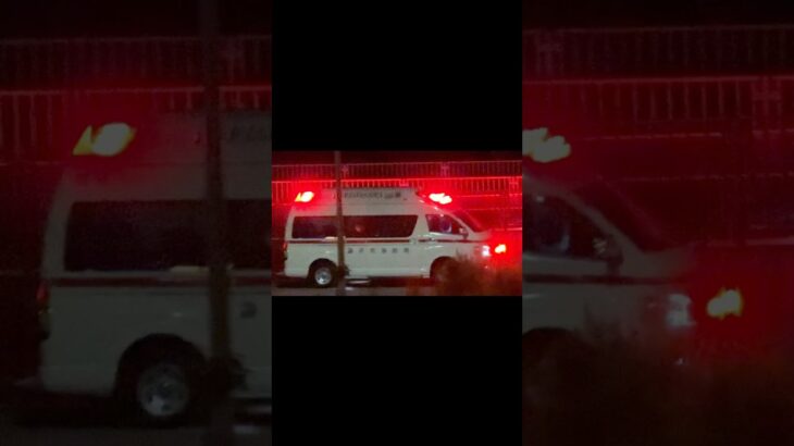 アクティビーコン搭載ハイメディック救急車 住宅モードサイレンを鳴らし緊急走行【明治救急隊・藤沢市消防局】