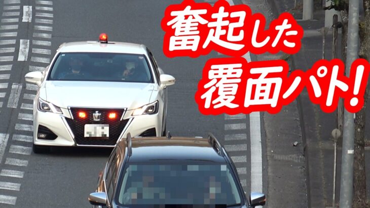 黙って見逃すわけにはいかない！奮起した覆面パトカーがフォレスターを仕留める！【 覆面パトと所轄パトのスピード違反取り締まり・前編】