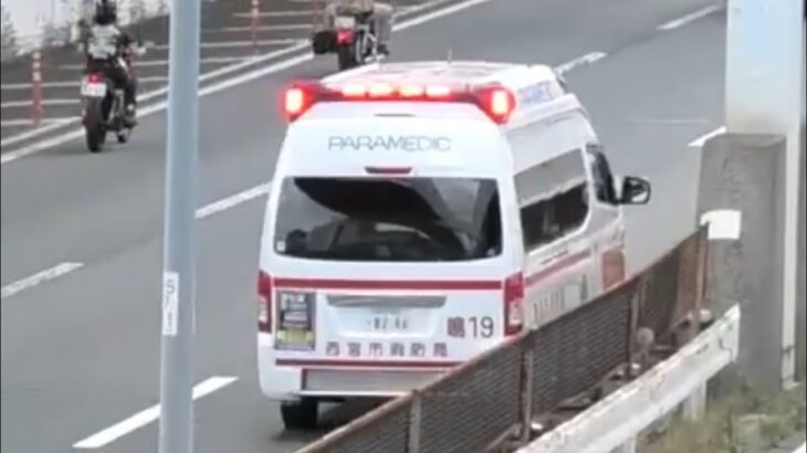 🚨響き渡るサイレン🚨救急車🚨緊急走行🚨西宮市消防局🚨 #救急車 #緊急走行 #西宮市消防局