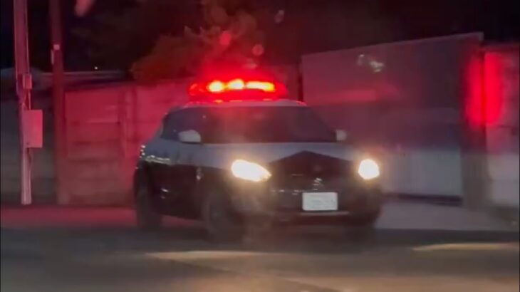 🚨暗闇にパトカー🚨赤色灯🚨兵庫県警🚨 #パトカー #ミニパト #兵庫県警 #赤色灯