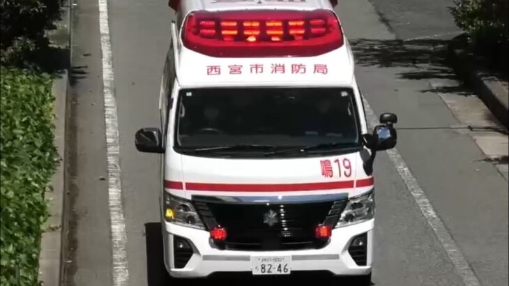 🚨救急車🚨緊急走行🚨響き渡るサイレン🚨西宮市消防局🚨 #救急車 #緊急走行 #西宮市消防局