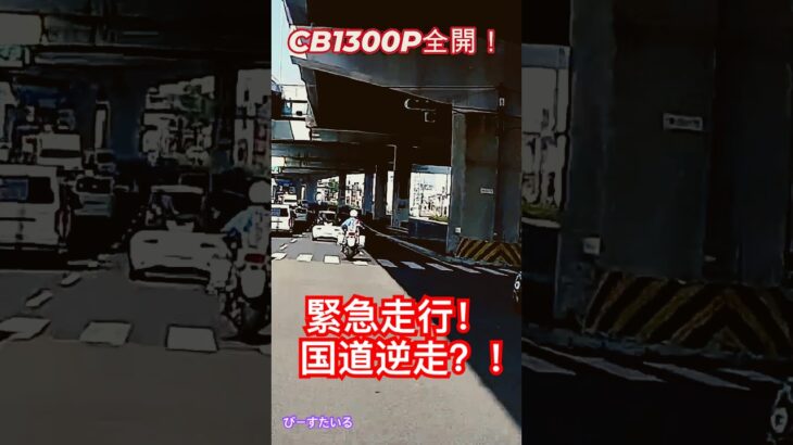 緊急走行！国道逆走？？　　夫婦タンデム番外編　#緊急 #白バイ