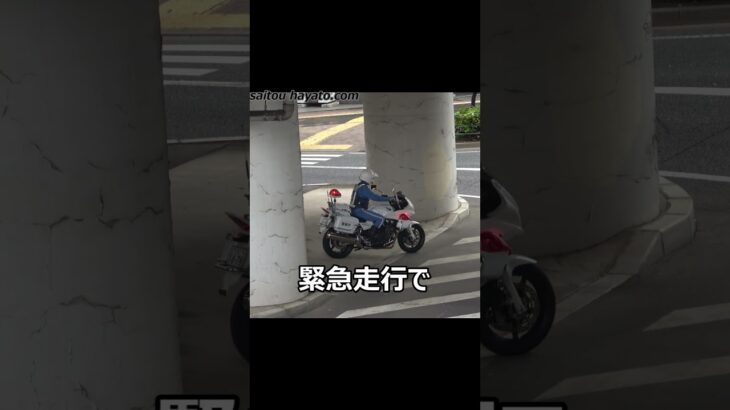 【安全最優先の緊急走行!】バス専用レーンから直進した軽が白バイ隊員さんの誘導を無視して逃走した瞬間!!!
