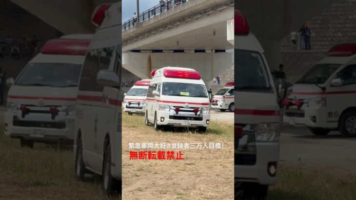 大量の救急車緊急走行🚨