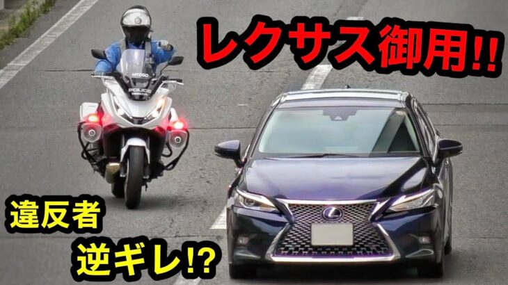 【レクサス御用‼️】白バイに捕まって逆ギレ⁉️ 爆音サイレンで検挙‼️　[取り締まり]