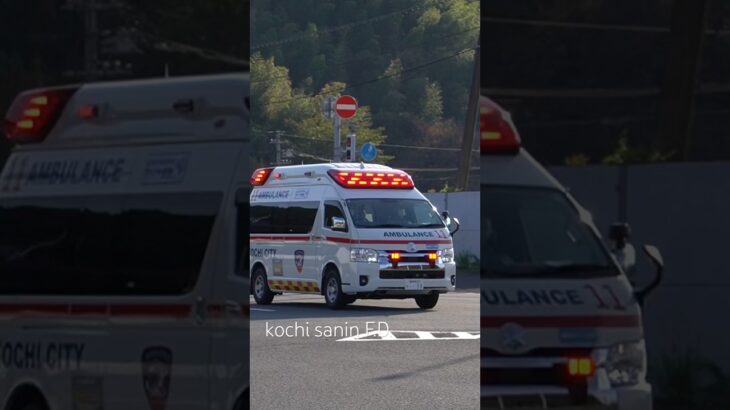 【緊急走行】コンフォートサイレンを吹鳴し国道を緊急走行！ #緊急走行 #救急車