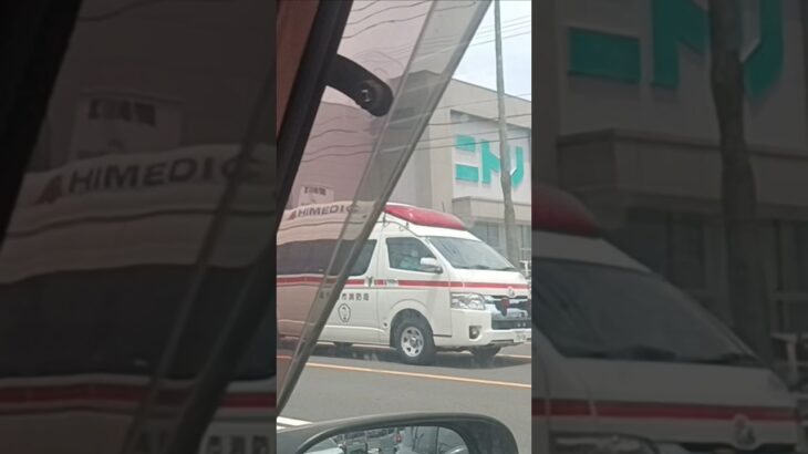 【緊急走行】鹿児島市消防局南本署非常用救急隊（郡元救急代車運用中）