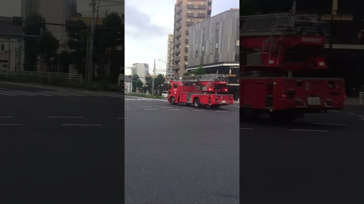 ハシゴ付き消防車緊急走行🚨🦺🚨🚑🚒
