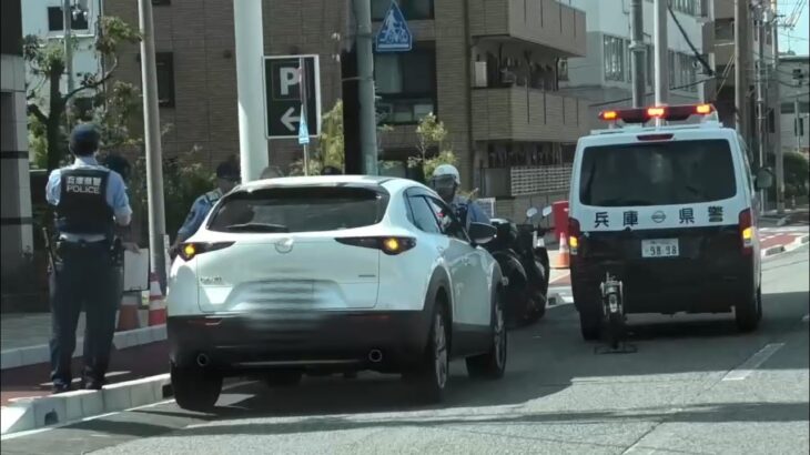 【横断歩道で交通事故】 🚨パトカー🚨兵庫県警🚨警察官🚨 #交通事故 #警察官 #パトカー