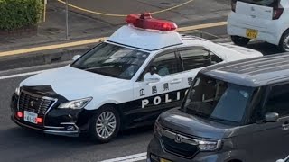 パトカー　緊急走行