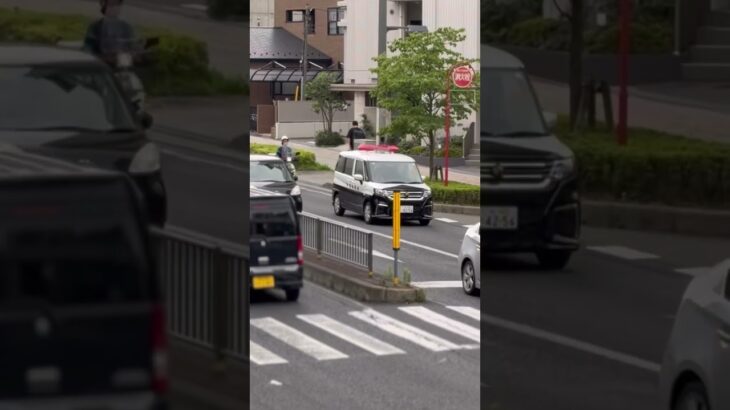 千葉県警　柏警察署　スズキソリオ　パトカー　通常走行
