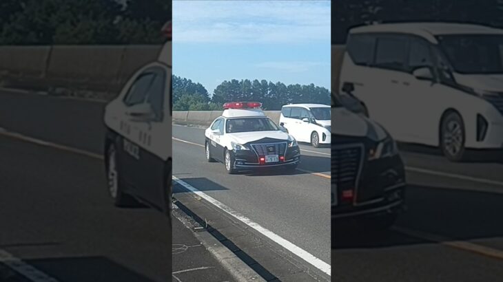 【緊急走行】マイクパフォーマンスあり!鹿児島県警察本部自動車警ら隊1号