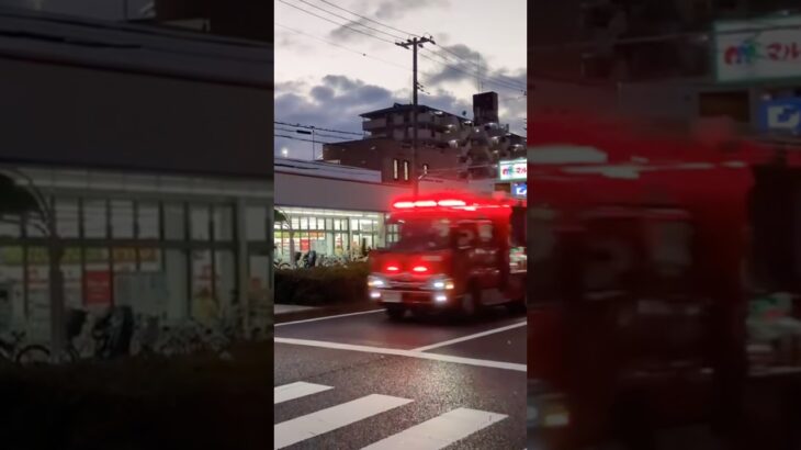 【緊急走行】長田11,15、緊急走行！【神戸市消防局】#shorts  #ショート #消防署 #消防車 #fire #firefighter #サイレン#救急車 #救急 #はしご車
