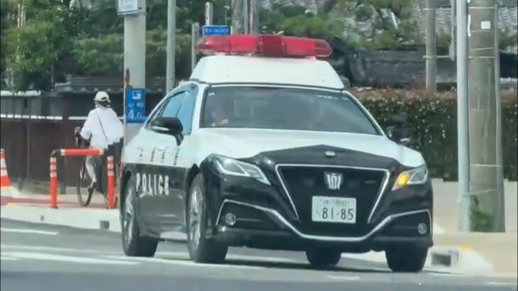 【パトカー走行動画2連発】 🚨パトカー🚨兵庫県警🚨赤色灯🚨 #パトカー #兵庫県警 #警察車両