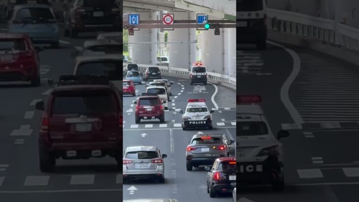 🚨パトカーが2台🚨赤色灯🚨パトカー🚨警察車両🚨兵庫県警🚨 #パトカー #警察車両 #兵庫県警 #shorts #shortvideo #short #shortsfeed