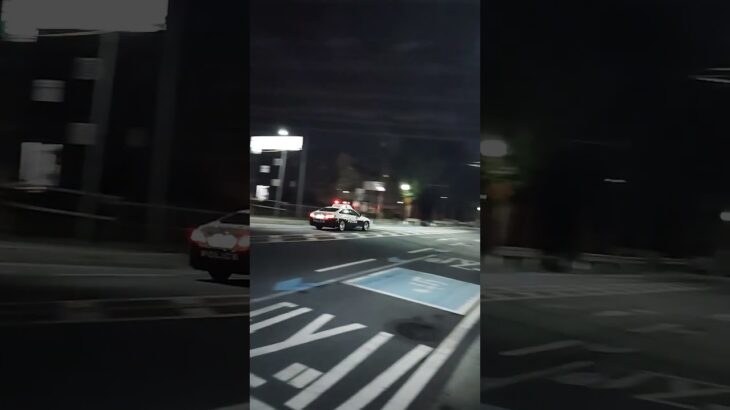 【暴走バイクを追え！】ナンバーのないバイクをパトカーが追跡　南与野駅_20260801
