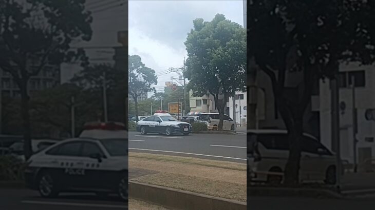 【緊急走行】220系クラウン緊走!鹿児島県警察地域課中央4