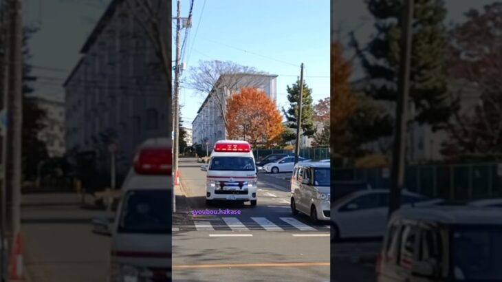 （緊急走行❗️）我孫子市消防本部　西救急3🚨 #救急車 #緊急車両 #消防署 #我孫子市 #我孫子市消防本部