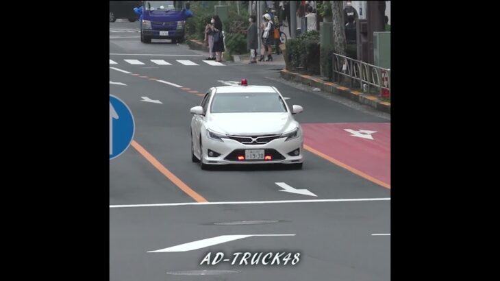 これぞ360馬力！覆面マークXが緊急走行で追うのは…？