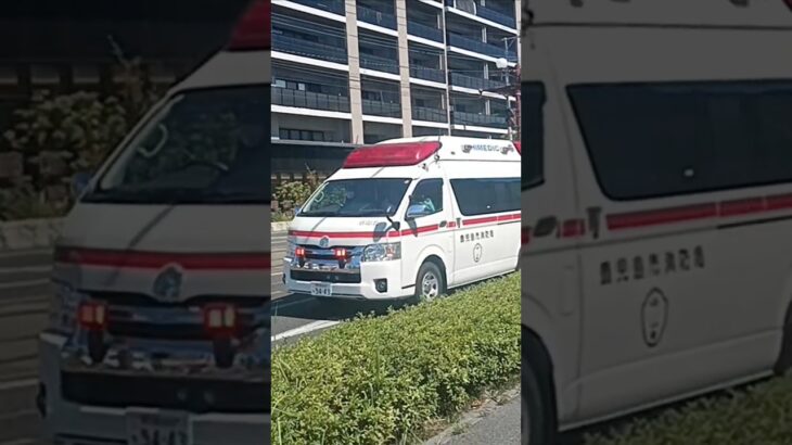 【緊急走行】5分間の間に救急車3台臨場!鹿児島市消防局谷山北非常用救急隊（谷山北救急代車運用中）