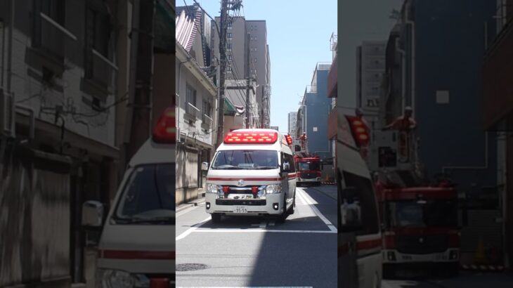 【猛暑の中救急隊！】東京消防庁　救急車(ハイメディック) 上野A。出場シーン！