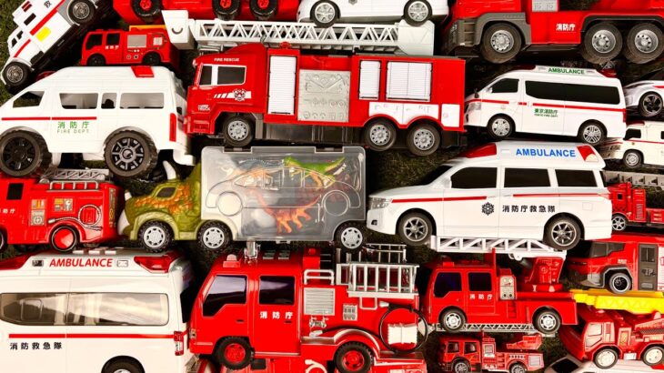 救急車＆消防車のミニカーが坂道を走る！緊急走行テスト🚑🚒｜Ambulance & Fire Engine Mini Car Slope Drive