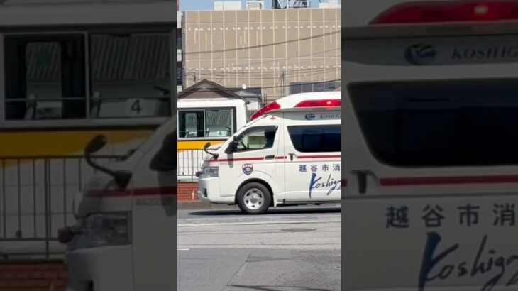 【ワンオペする救急隊！】越谷市消防局　救急車　C CABIN。ベルリング製。救急蒲生1。緊急走行シーン！