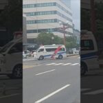 【緊急走行】転院搬送！今給黎総合病院DMATドクターカー