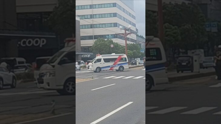 【緊急走行】転院搬送！今給黎総合病院DMATドクターカー