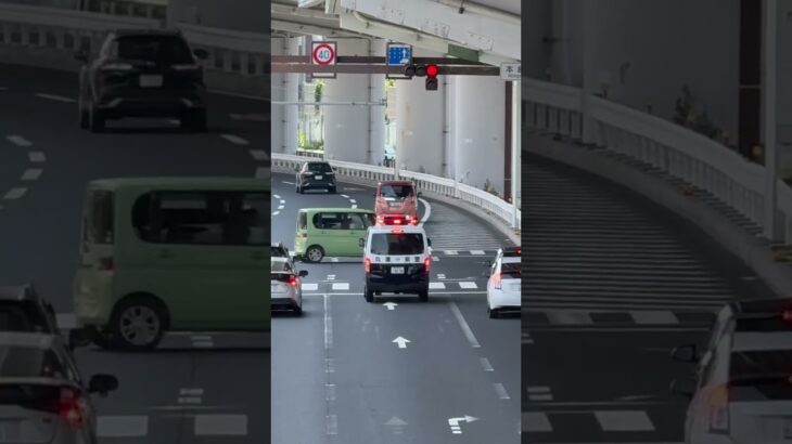 🚨警察車両🚨赤色灯🚨兵庫県警🚨パトカー🚨 #パトカー #警察車両 #兵庫県警 #shorts #shortvideo #short