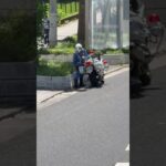 🚨白バイ🚨兵庫県警🚨 #白バイ #白バイ隊員 #兵庫県警 #shorts #shortvideo #short