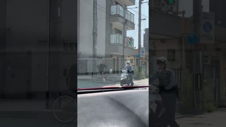 ☺️横断歩道を渡る女性警察官☺️ #女性警察官 #警察バイク #兵庫県警 #警察官 #shorts #shortvideo #short