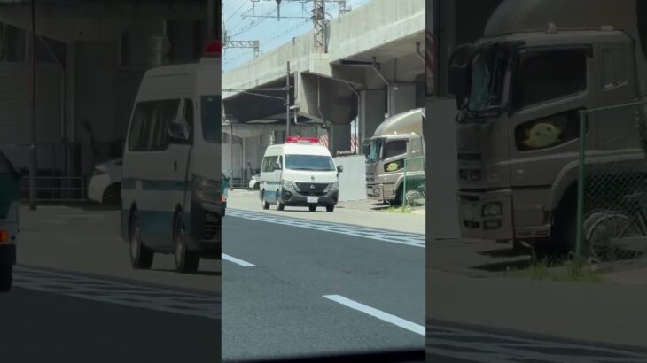 🚨護送車🚨警察車両🚨大阪府警🚨赤色灯🚨 #警察車両 #護送車 #大阪府警 #パトカー #shorts #shortvideo #short